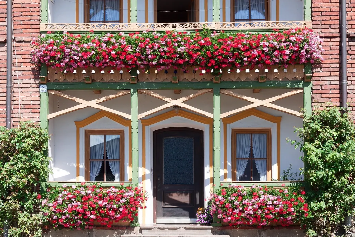 A Pollinator-Friendly Window Box: What to Plant and How to Keep It Going